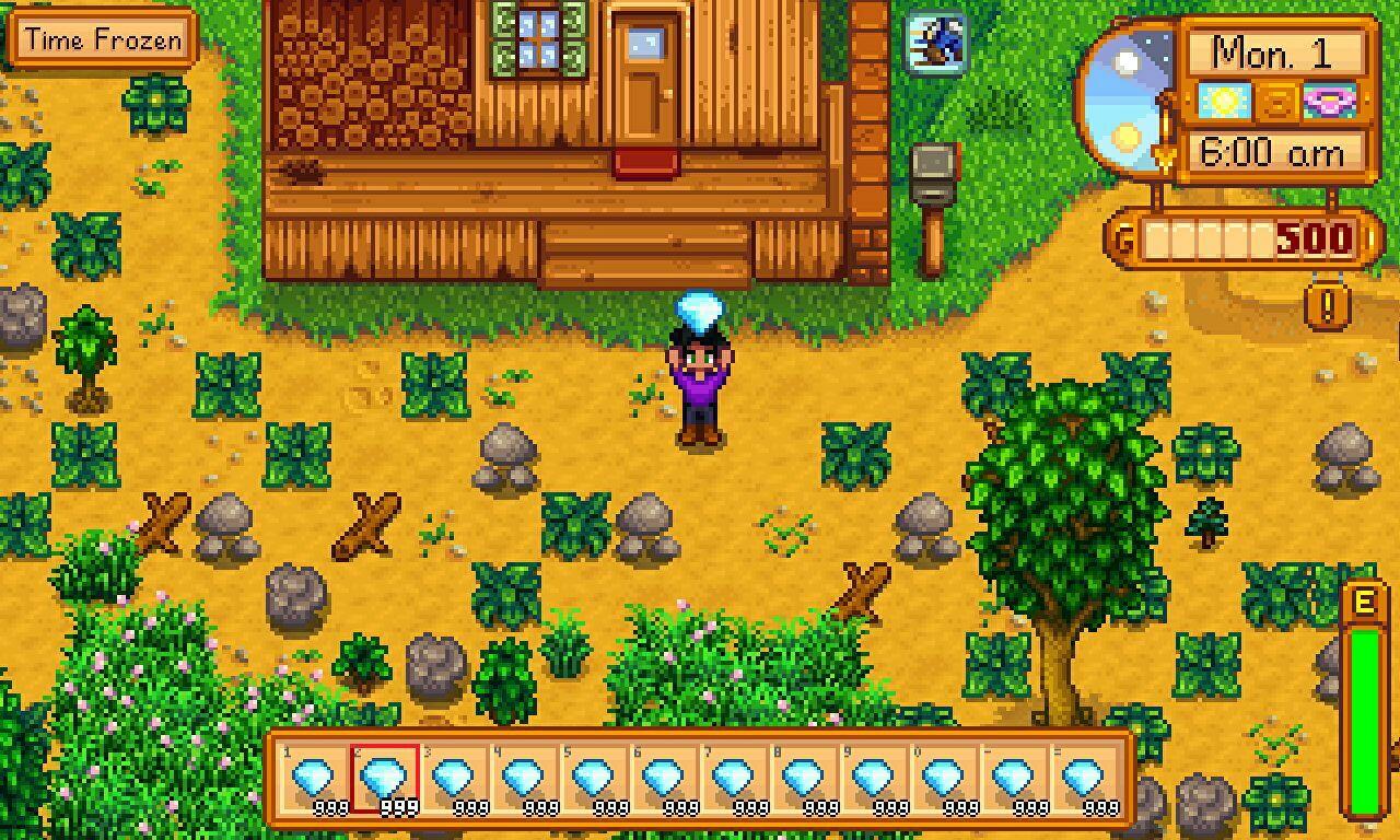 Stardew Valley